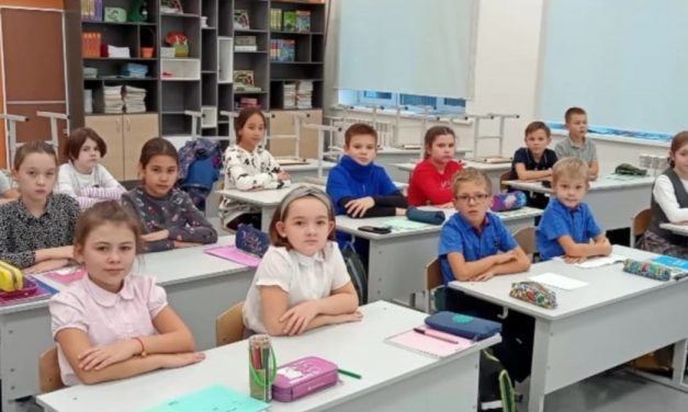 Татарскому языку в школах быть: как всё начиналось